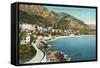 Monte Carlo-null-Framed Stretched Canvas