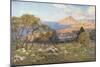 Monte Cofano from Portarella, Trapani-Alberto Pisa-Mounted Giclee Print