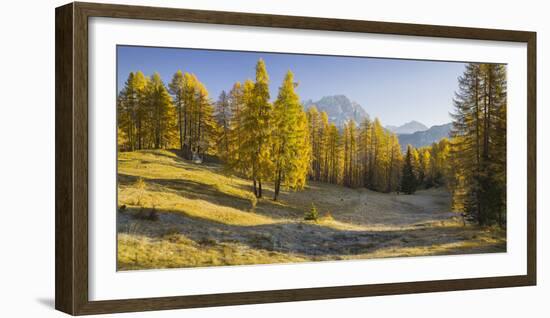 Monte Cristallo, Larches, Cortina D'Ampezzo, Veneto, the Dolomites, Italy-Rainer Mirau-Framed Photographic Print