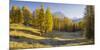 Monte Cristallo, Larches, Cortina D'Ampezzo, Veneto, the Dolomites, Italy-Rainer Mirau-Mounted Photographic Print