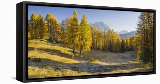 Monte Cristallo, Larches, Cortina D'Ampezzo, Veneto, the Dolomites, Italy-Rainer Mirau-Framed Stretched Canvas