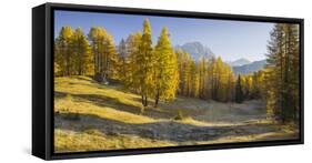 Monte Cristallo, Larches, Cortina D'Ampezzo, Veneto, the Dolomites, Italy-Rainer Mirau-Framed Stretched Canvas