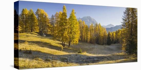 Monte Cristallo, Larches, Cortina D'Ampezzo, Veneto, the Dolomites, Italy-Rainer Mirau-Stretched Canvas
