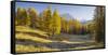 Monte Cristallo, Larches, Cortina D'Ampezzo, Veneto, the Dolomites, Italy-Rainer Mirau-Framed Stretched Canvas