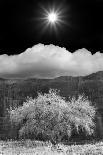 Sailing under sunbeams, L'Anse Bay, Michigan '13-Monte Nagler-Photographic Print