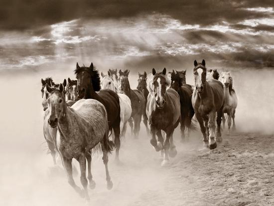 Photographic Print, , large