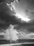 Eldred Rock Lighthouse, Alaska '09-Monte Nagler-Photographic Print