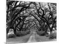 Wood Mount