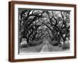 Brown Frame