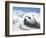 Monte Rosa Massif from Gronergrat, Gornergrat Peak, Switzerland-Michael DeFreitas-Framed Photographic Print