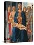 Montefeltro Altarpiece, Piero della Francesca, 1472-74. Brera Gallery, Milan, Italy Detail.-Piero della Francesca-Stretched Canvas