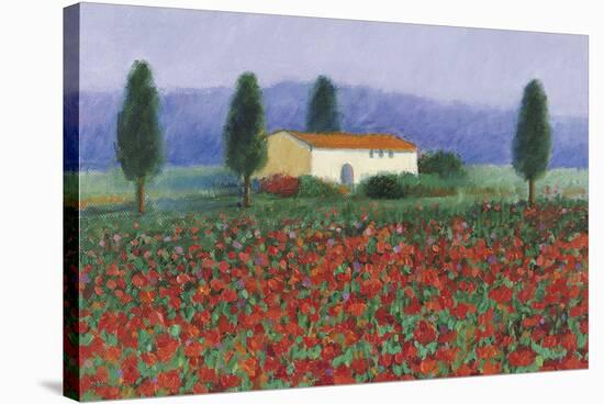 Montefiorale, Tuscany-Hazel Barker-Stretched Canvas