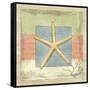 Montego Starfish-Paul Brent-Framed Stretched Canvas