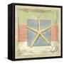 Montego Starfish-Paul Brent-Framed Stretched Canvas