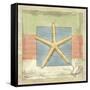 Montego Starfish-Paul Brent-Framed Stretched Canvas