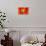 Montenegro Flag-daboost-Stretched Canvas displayed on a wall