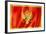 Montenegro Flag-daboost-Framed Art Print