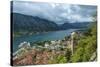 Montenegro, Kotor. Cruise ship in city harbor.-Jaynes Gallery-Stretched Canvas