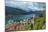 Montenegro, Kotor. Cruise ship in city harbor.-Jaynes Gallery-Mounted Photographic Print