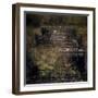 Montenegro-Valda Bailey-Framed Photographic Print