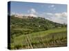 Montepulciano, Val D'Orcia, Siena Province, Tuscany, Italy, Europe-Pitamitz Sergio-Stretched Canvas