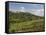 Montepulciano, Val D'Orcia, Siena Province, Tuscany, Italy, Europe-Pitamitz Sergio-Framed Stretched Canvas