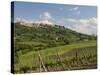 Montepulciano, Val D'Orcia, Siena Province, Tuscany, Italy, Europe-Pitamitz Sergio-Stretched Canvas