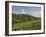 Montepulciano, Val D'Orcia, Siena Province, Tuscany, Italy, Europe-Pitamitz Sergio-Framed Photographic Print