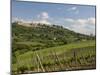 Montepulciano, Val D'Orcia, Siena Province, Tuscany, Italy, Europe-Pitamitz Sergio-Mounted Photographic Print
