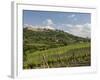 Montepulciano, Val D'Orcia, Siena Province, Tuscany, Italy, Europe-Pitamitz Sergio-Framed Photographic Print