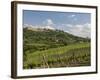 Montepulciano, Val D'Orcia, Siena Province, Tuscany, Italy, Europe-Pitamitz Sergio-Framed Photographic Print