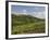 Montepulciano, Val D'Orcia, Siena Province, Tuscany, Italy, Europe-Pitamitz Sergio-Framed Photographic Print