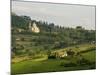 Montepulciano, Val D'Orcia, Siena Province, Tuscany, Italy, Europe-Pitamitz Sergio-Mounted Photographic Print