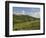 Montepulciano, Val D'Orcia, Siena Province, Tuscany, Italy, Europe-Pitamitz Sergio-Framed Photographic Print