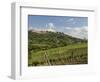 Montepulciano, Val D'Orcia, Siena Province, Tuscany, Italy, Europe-Pitamitz Sergio-Framed Photographic Print