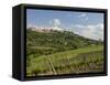 Montepulciano, Val D'Orcia, Siena Province, Tuscany, Italy, Europe-Pitamitz Sergio-Framed Stretched Canvas