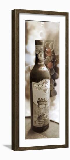 Montepulciano Vineyard #1-Alan Blaustein-Framed Photographic Print