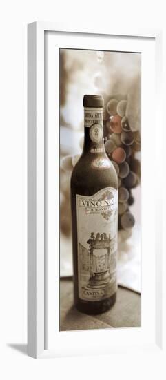 Montepulciano Vineyard #1-Alan Blaustein-Framed Photographic Print