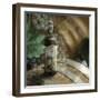 Montepulciano Vineyard #2-Alan Blaustein-Framed Photographic Print