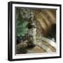 Montepulciano Vineyard #2-Alan Blaustein-Framed Photographic Print