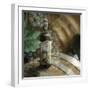 Montepulciano Vineyard #2-Alan Blaustein-Framed Photographic Print