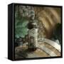 Montepulciano Vineyard #2-Alan Blaustein-Framed Stretched Canvas