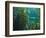 Monterey Bay Aquarium, Cannery Row, Monterey, Central California Coast, USA-Stuart Westmorland-Framed Photographic Print