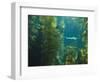 Monterey Bay Aquarium, Cannery Row, Monterey, Central California Coast, USA-Stuart Westmorland-Framed Photographic Print