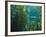 Monterey Bay Aquarium, Cannery Row, Monterey, Central California Coast, USA-Stuart Westmorland-Framed Photographic Print