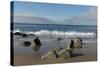 Monterey Bay-Carol Highsmith-Stretched Canvas