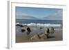 Monterey Bay-Carol Highsmith-Framed Photo