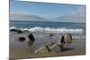 Monterey Bay-Carol Highsmith-Mounted Photo