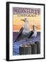 Monterey, California - Sea Gulls-Lantern Press-Framed Art Print