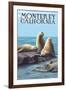 Monterey, California - Sea Lions-Lantern Press-Framed Art Print